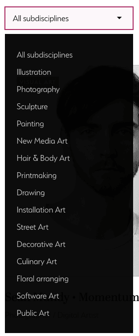 How to Edit Your Profile: Here are all the sub-disciplines (areas of interest), in this case, for Visual Art
